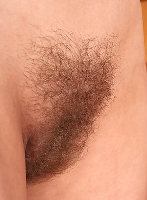Hairy Pussy Porn Pictures